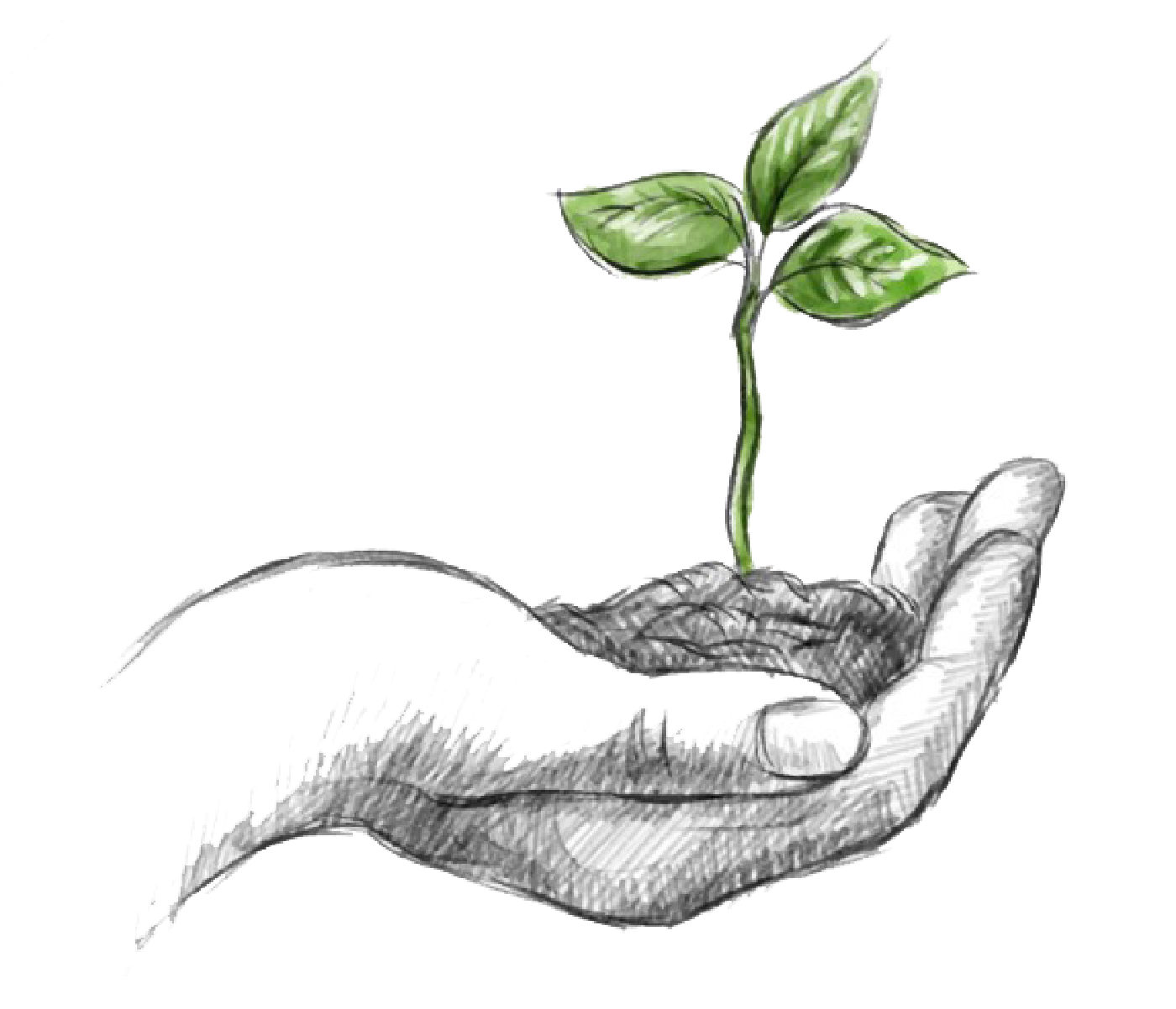 Plant a Sapling, Thoughts in Silence, Coffee Table Book of Poems, Eswar Anandan